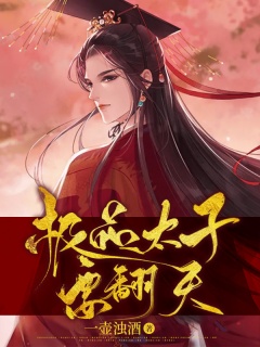 极品太子，权谋与仁政的双重奏鸣