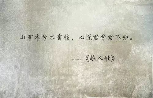 官道情路，权与爱的交织画卷