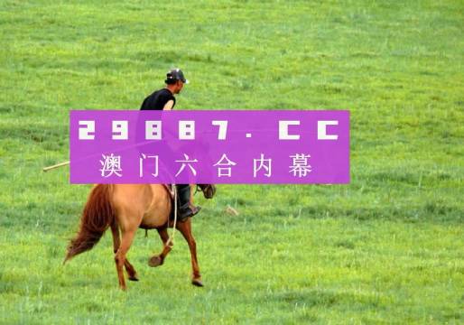 澳门天天彩资料，正版免费特色快8的魅力探索