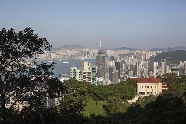 203年香港马会传真资料，透视赛场新动向与投注策略