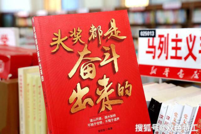 探索双色球红球的奥秘，解读红色风暴的双码走势图
