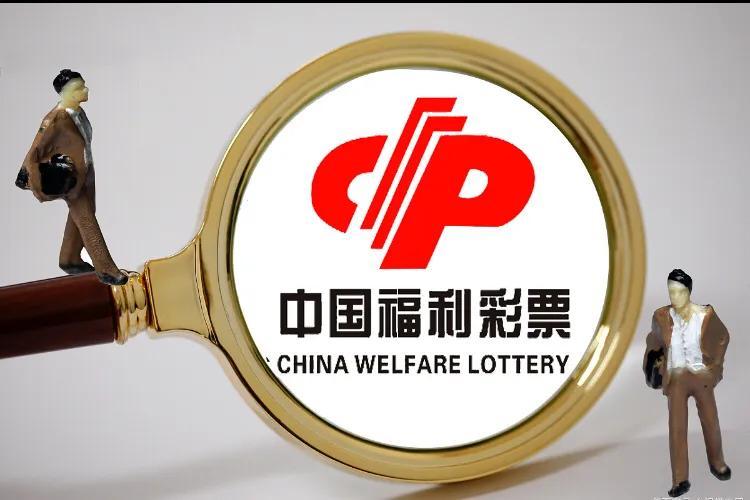 3D胆码王，解锁数字游戏的无限可能