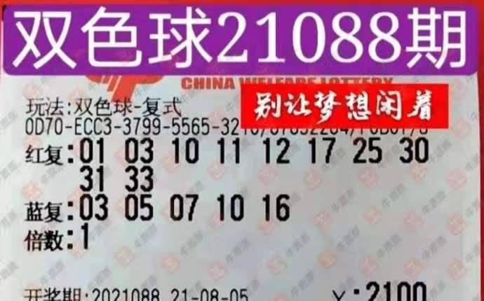 向东小宋双色球预测的智慧与奥秘——揭秘数字游戏中的科学逻辑与方法论