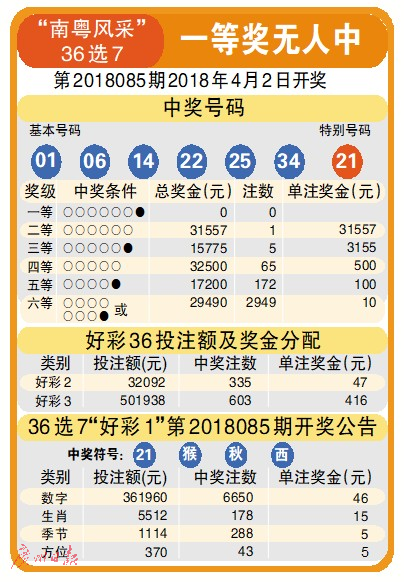 36选7南粤风采，数字游戏中的智慧与乐趣