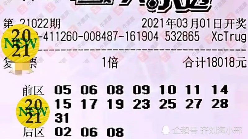 探索大乐透19087，数字背后的幸运与希望