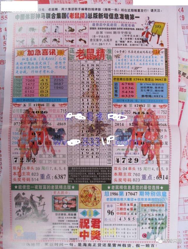 七星彩早版图库，探索数字的奥秘与乐趣