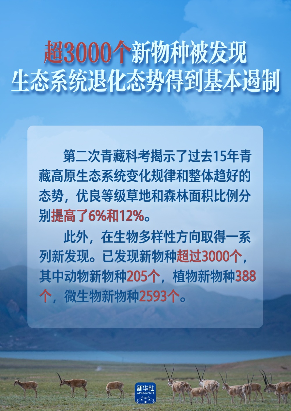 探索内蒙古快三开奖结果，揭秘背后的故事与乐趣