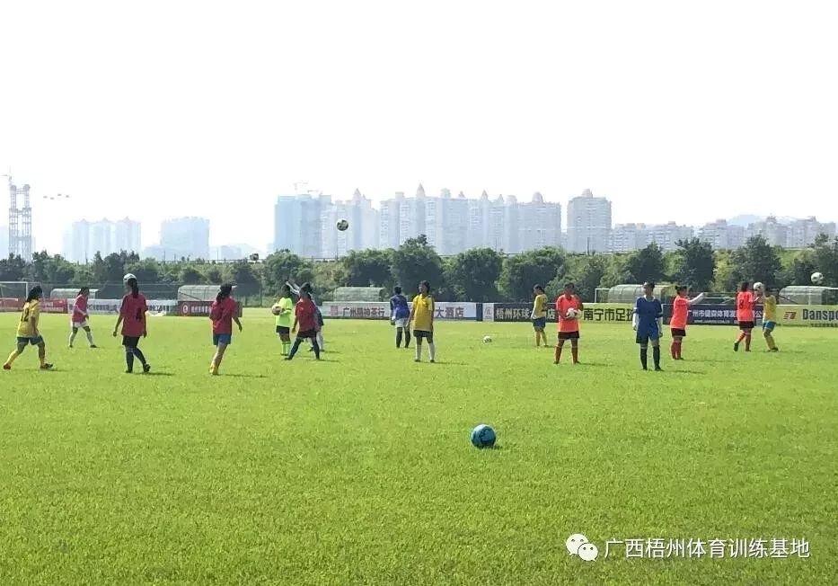 足球直播，如何享受最佳观赛体验