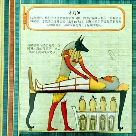探索三的拼音世界，从基础到创意组词之旅