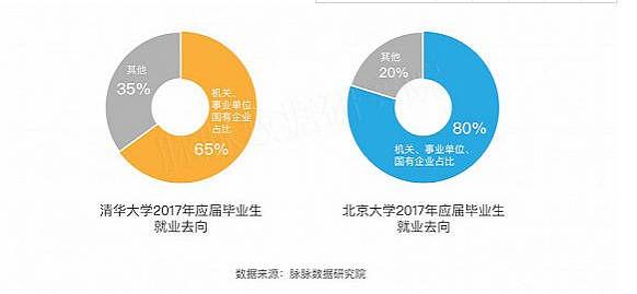 数据分析师，未来就业的璀璨星辰
