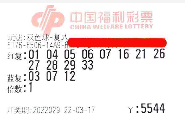 彩票19期结果，梦想与现实的交汇
