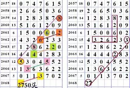 今日海南特区报彩票网，探索数字时代的公益与娱乐新篇章