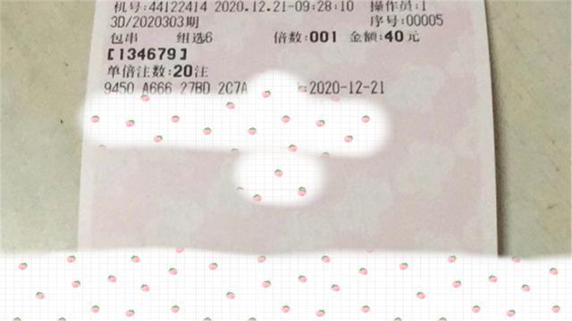 全国彩票开奖结果公示，透明、公正与公众监督的基石