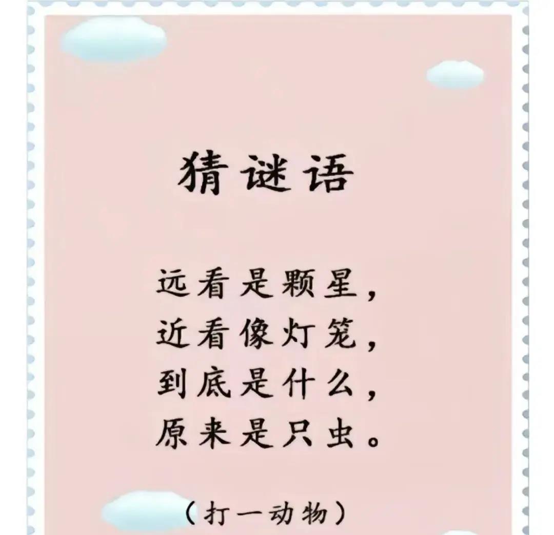 谜语大全