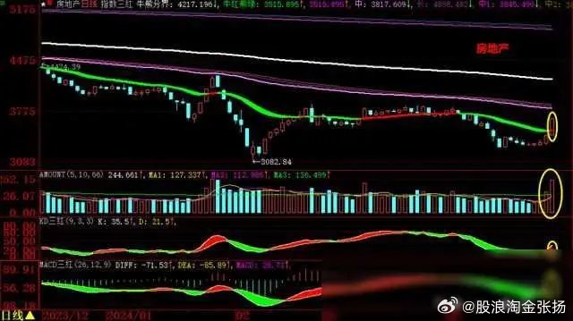 3D专业版新浪走势图，透视股市风云的未来之眼