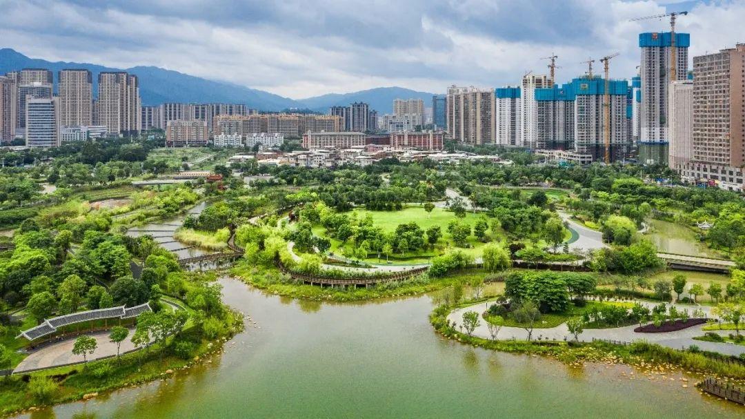 福建体彩基本走势图，揭秘数字背后的奥秘与乐趣