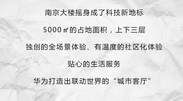 大乐透与文采的奇妙碰撞——探索数字背后的文化意蕴