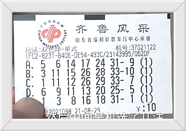 揭秘双色球，专家精选龙头凤尾号码的奥秘