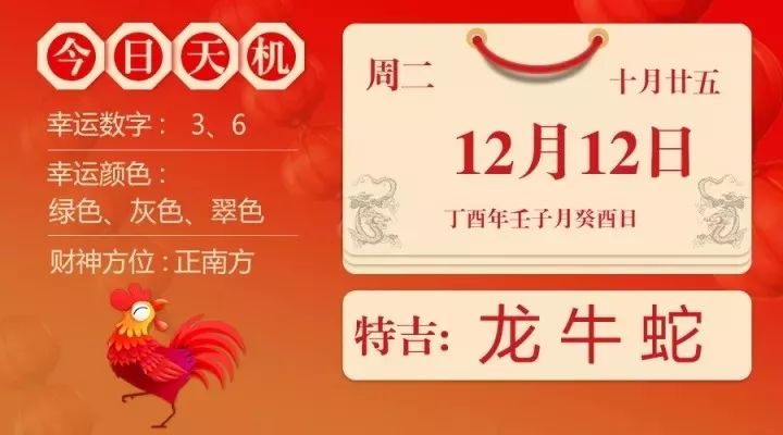 四肖选一 第2页