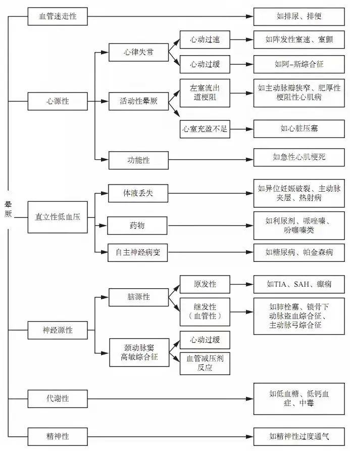探索双色球所有开奖号走势图，揭秘数字背后的奥秘