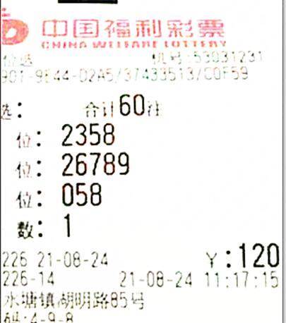 3D近20年走势图，透视彩票的数字艺术与概率之谜