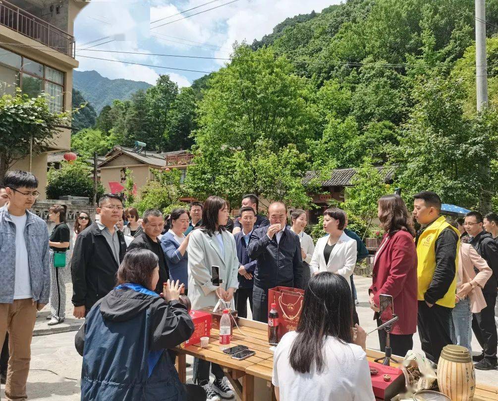 现场直播，揭秘六开码结果的神圣时刻