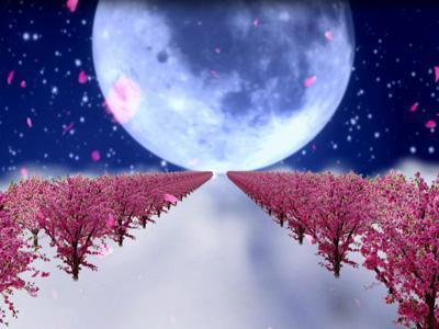 福彩预测大师，揭秘数字背后的智慧与机遇