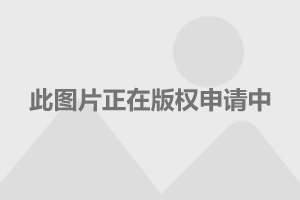 剩了一知半解的温情 第50页