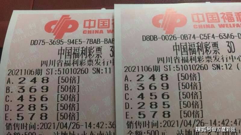 湖北福利彩票双色球查询结果，揭秘幸运的瞬间与理性投注之道