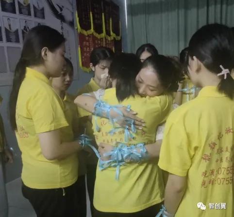 凤凰涅槃,揭秘凤凰天使论坛的传奇与影响凤凰天使论坛官网首页