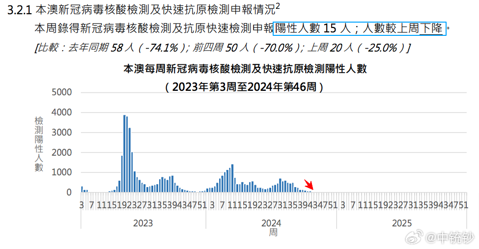 2045年澳门免费资料查询新纪元，解锁信息时代的无限可能2024年澳门免费资料查询结果水果奶奶