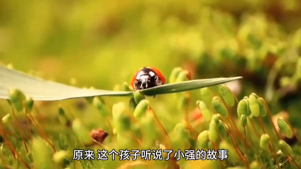 2019全年免费资料大全，解锁知识宝藏的钥匙2019正版免费全年资料