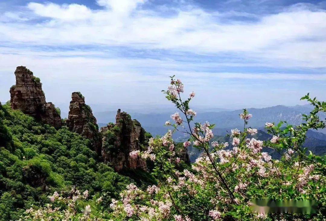 探索香港图库，免费资料大全的宝藏之旅香港图库免费资料大全功能介绍