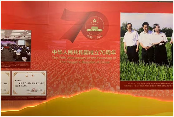 七位数开奖号码，梦想与现实的交织七位数开奖号码历史查询
