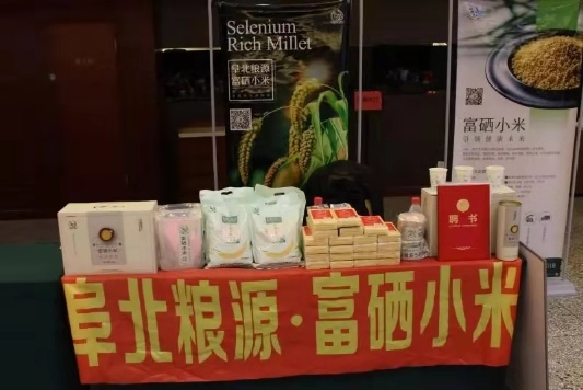 2046澳门天天开好彩大全，揭秘幸运密码，共赴财富盛宴2024澳门天天开好彩大全下载地址