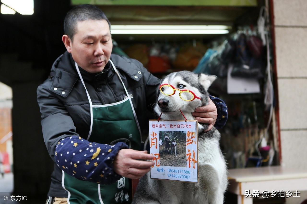 九龙图库助手,数字时代的图像管理新纪元九龙图库助手免费下载