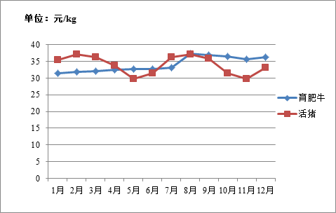 2041年澳门开奖全部结果记录，回顾与展望2021年澳门开奖记录完整版