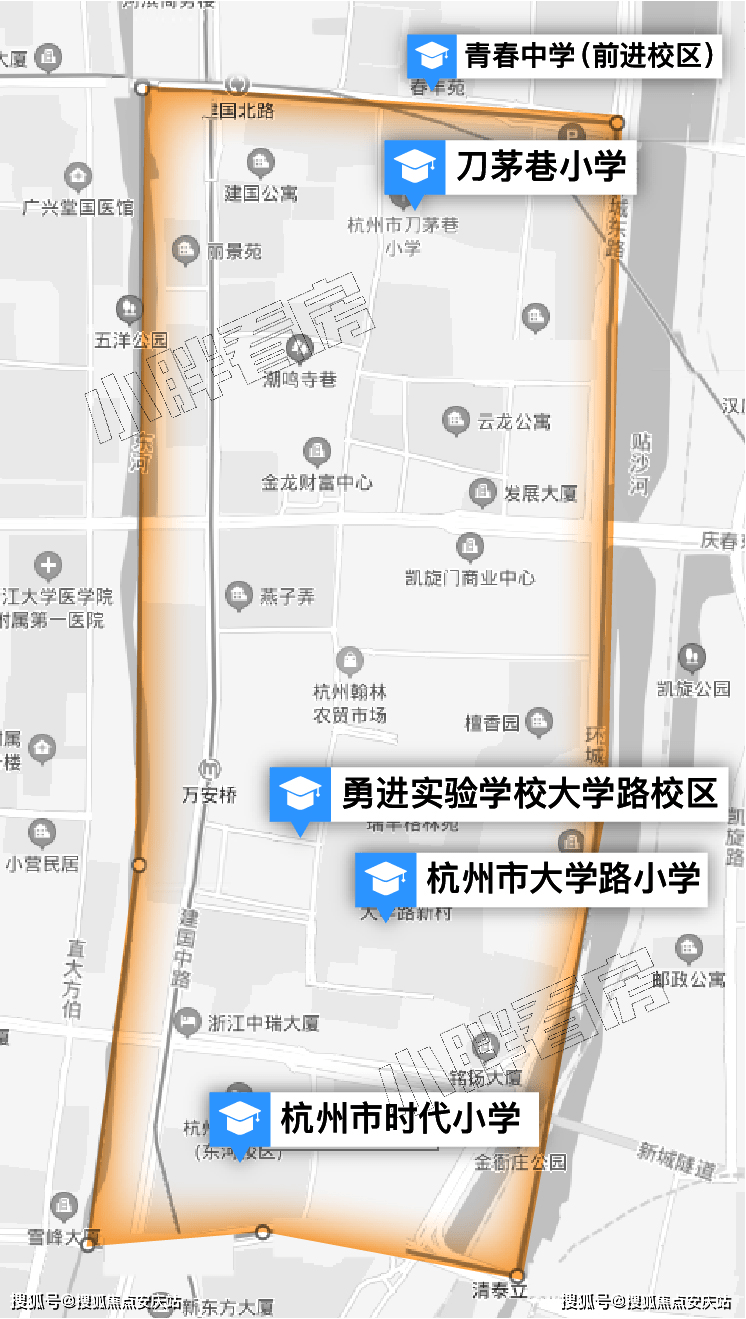 2046新澳门天天开好彩大全正版，揭秘与解析2024新澳门天天开好彩大全正版羽绒服冼后怎样才能恢复