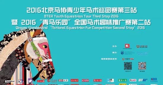 今晚特马揭秘，探寻彩票背后的奥秘与乐趣今晚开什么特马肖