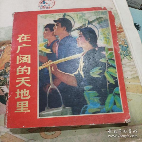 在中华文化的广阔天地里