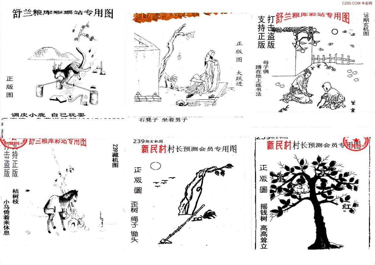 探索天牛3D图库，解锁创意与设计的无限可能天牛3d图库汇总红五3d图库