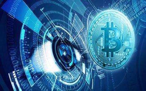揭秘429.com的澳彩世界—一场数字与概率交织的游戏42923澳彩开奖结果查询今天
