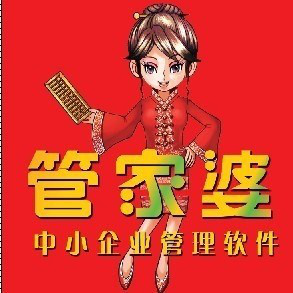 管家婆，正版图片大全的魅力与价值管家婆正版图片大全 今晚
