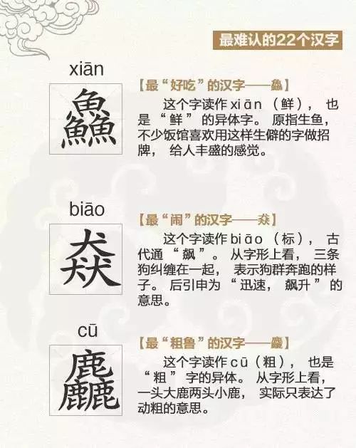 探寻二四六天天好彩，每期文字资料大全的奥秘