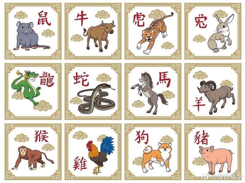 揭秘手机与生肖的神秘联系，探寻特马背后的文化寓意手机是特马猜一生肖蛇