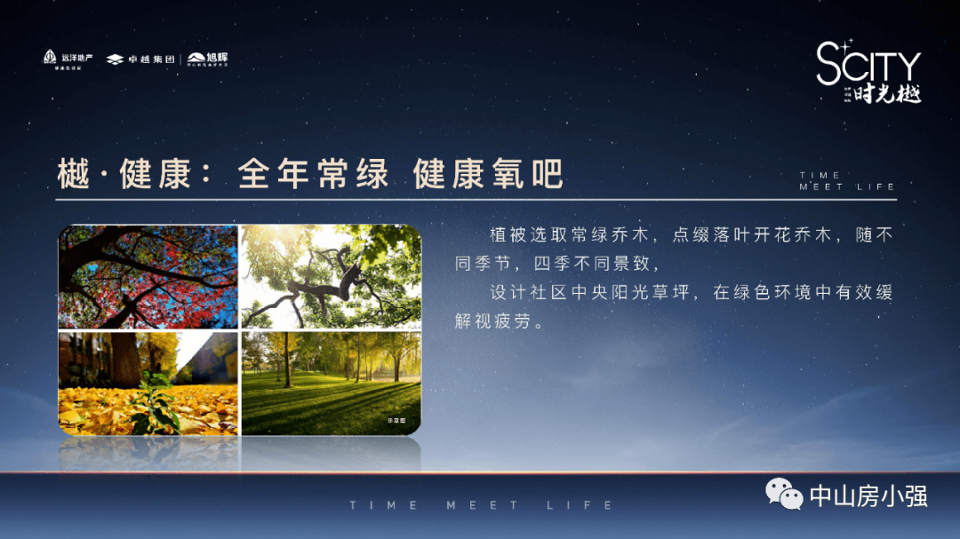 澳门彩历史开奖记录，深度解析与最新走势图汇总新澳门开奖结果