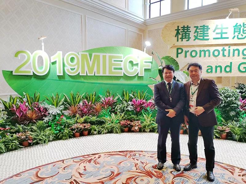 澳门新彩综合走势图203年微博最新动态，揭秘数据背后的奥秘与趋势新澳门出彩综合走势图2023年微博最新