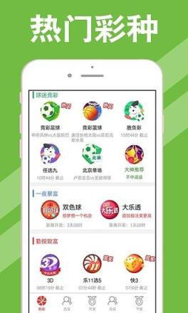 澳门今期开奖结果查询，官方最新网页的便捷与安全新澳门开奖记录