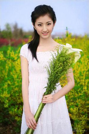 澳门走势图最新开奖结果查询，安全、便捷的在线体验新浪澳门即时动态