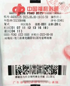澳门彩民新视界，探索最新开奖结果的奥秘新澳门开奖结果2020+开奖记录_